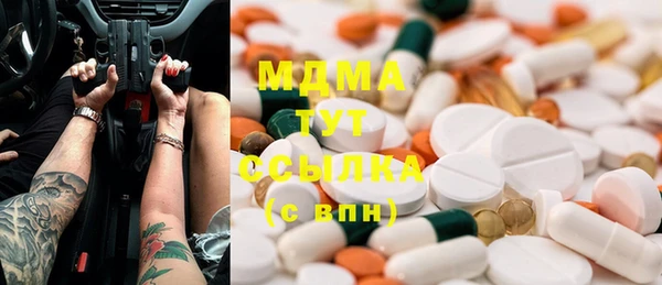 прущие грибы Аркадак