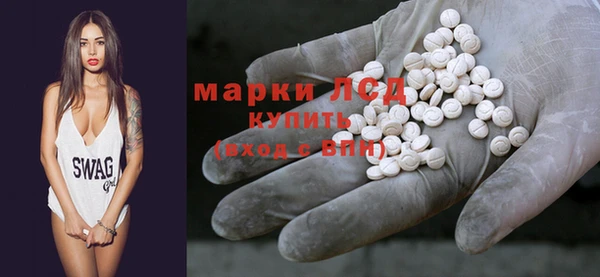 прущие грибы Аркадак