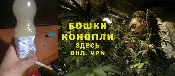 прущие грибы Аркадак