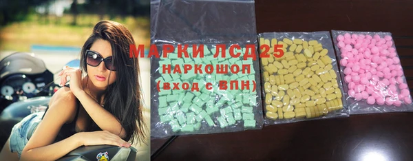 прущие грибы Аркадак