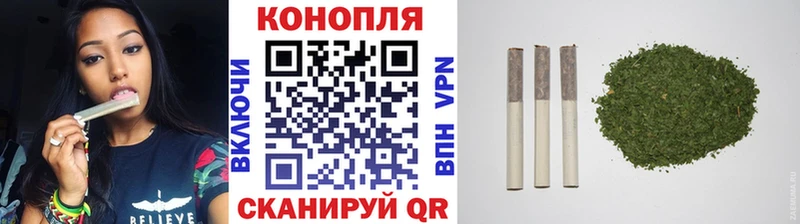 Купить где  Новосиль  Шишки марихуана марихуана 